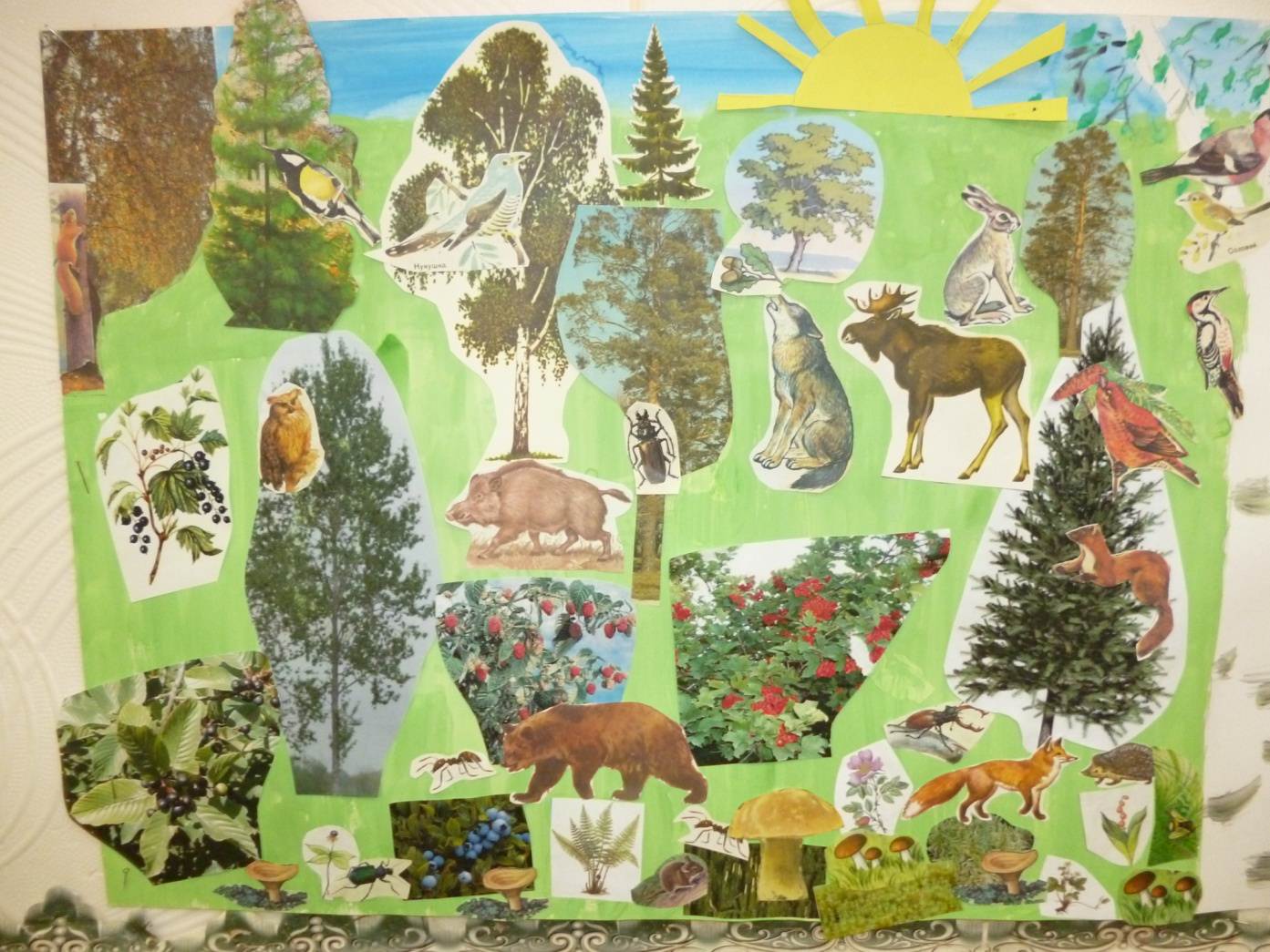 Окружающий мир природа в подготовительной группе. Макет леса для детского сада. Животные леса для детей. Поделки на тему лес. Коллаж на тему природа.