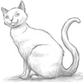 нарисованная кошка