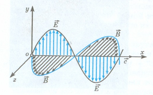 Магнитные волны 9 класс. Электромагнитное поле электромагнитные волны 9 класс. Модель электромагнитной волны 9 класс. Электромагнитное поле 9 класс. Электромагнитная волна рисунок.