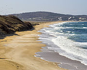 https://upload.wikimedia.org/wikipedia/commons/thumb/8/89/Blacksea-bg-beach-dinev.jpg/180px-Blacksea-bg-beach-dinev.jpg