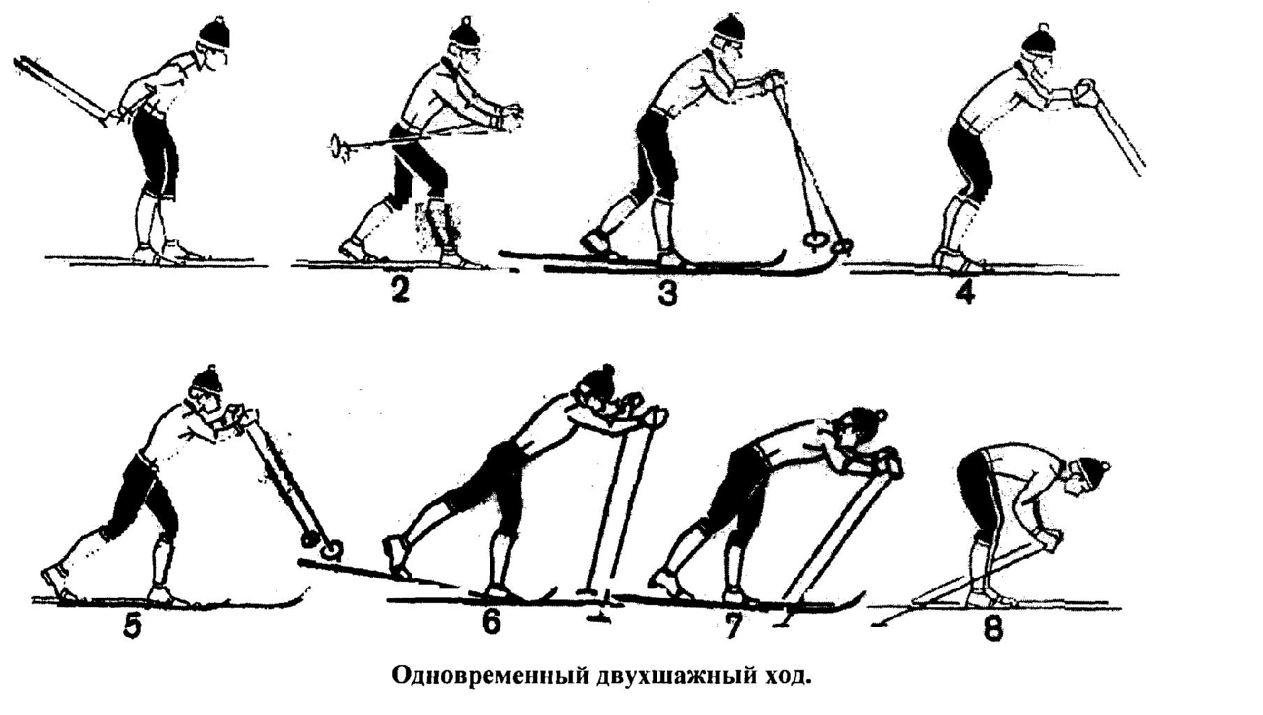 Цикл двухшажного хода. Одновременный двухшажный ход. Одновременно двухшажный ход на лыжах. Одновременный двухшажный ход на лыжах состоит. Одновременный двухшажный классический ход на лыжах.