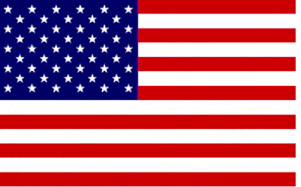 https://elviraz.ucoz.ru/american_flag.gif