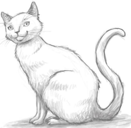 красивые рисованные кошки