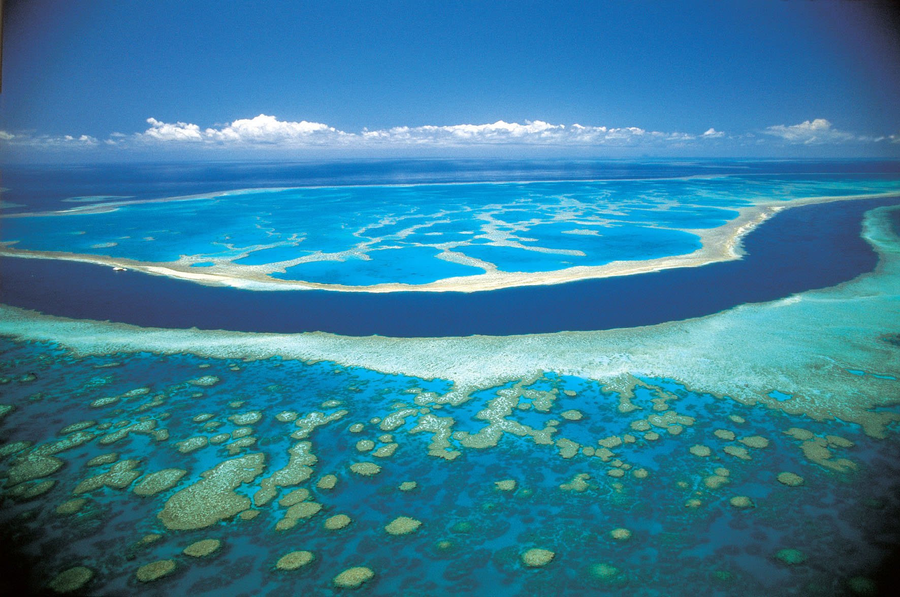 Das Great Barrier Reef. Большой Барьерный риф.