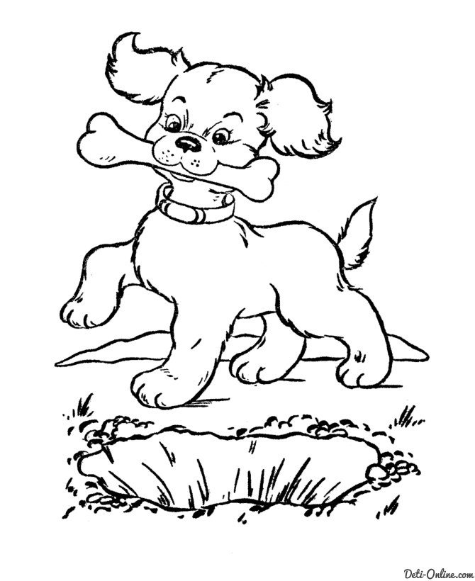 Раскраска Собака с косточкой Раскраски Собаки и щенки