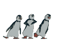 танцующие пингвины, анимашка