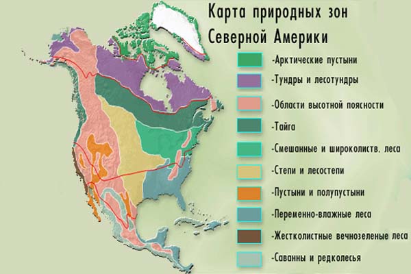 https://900igr.net/datai/geografija/Materik-Amerika/0012-018-Prirodnye-zony-Severnoj-Ameriki.jpg