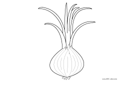 onion-bitmap-coloring.png