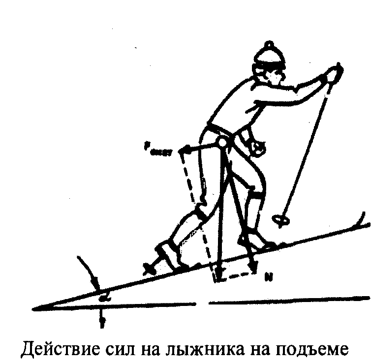 Подъем и спуск с горы. Силы действующие на лыжника. Техника подъема на лыжах. Преодоление подъемов на лыжах. Техники преодоления подъёмов на лыжах.