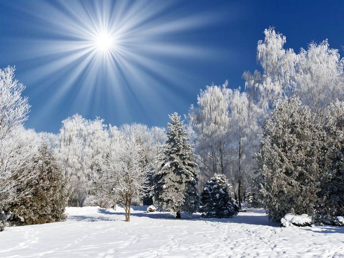 Скачать обои Природа, иней, деревья, лес, снег, солнце, зима - картинка #12604 c разрешением 1152x864
