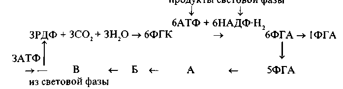 https://www.library.timacad.ru/sources/electr_izd/kovalev/Image8.gif
