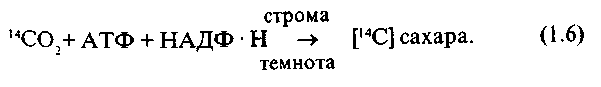 https://www.library.timacad.ru/sources/electr_izd/kovalev/Image7.gif